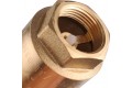 STOUT 3/4 Клапан обратный пружинный муфтовый с пластиковым седлом