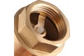 STOUT 1 Клапан обратный пружинный муфтовый с пластиковым седлом