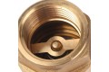 STOUT 1 Клапан обратный пружинный муфтовый с металлическим седлом