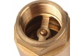 STOUT 1 1/4 Клапан обратный пружинный муфтовый с металлическим седлом