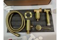 Смеситель встроенный с гигиеническим душем Timo Saona (2389/17SM) золото матовое