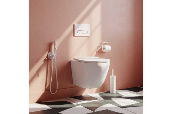 Унитаз подвесной безободковый, Blanco Q, IDDIS, BLQRDSEI25