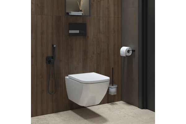 Унитаз подвесной, безободковый, Torr, IDDIS, TORRDSEi25
