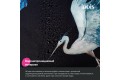 Штора для ванной IDDIS 200x180 см, Полиэстер