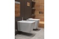 Унитаз подвесной TIMO SOLI 550*350*360