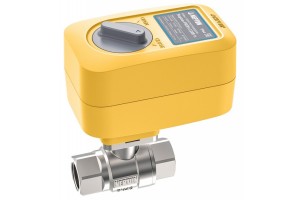 Кран шаровой с электроприводом Neptun 1 Profi 220В, 2205800