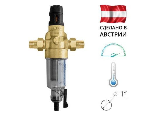 BWT Protector mini С/R HWS 3/4 фильтр механической очистки воды с редуктором давления, 810549