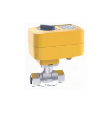 Кран с электроприводом Neptun PROFI 220В 1 1/4